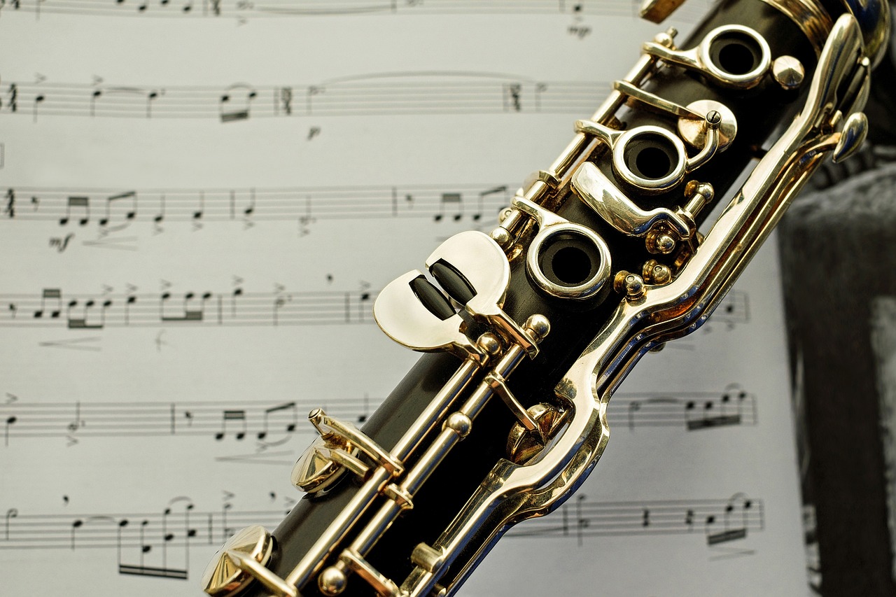 clarinet, musical instrument, woodwind instrument